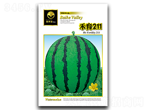 ����211-���ϷN��-�ٺ̹�