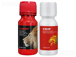 �߲˰׷�ʭ����ˎ ���σ�(y��u)ʿ