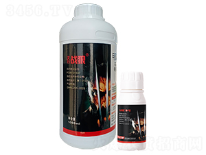 �������x����ˎ�M(j��n)������ ���σ�(y��u)ʿ