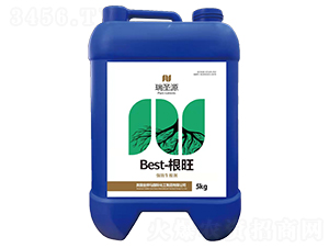 Best-���������b��Ч��������-��ʥԴ-��(y��u)���r(n��ng)�I(y��)