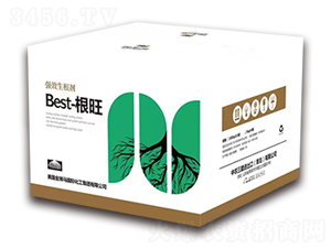 Best-���������b��(qi��ng)Ч��������-��ʥԴ-��(y��u)���r(n��ng)�I(y��)