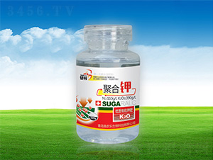 �ۺ��-�μѸ�