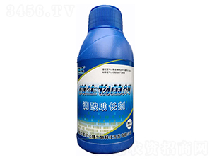 �{(di��o)�����L΢�������-�|֮¡