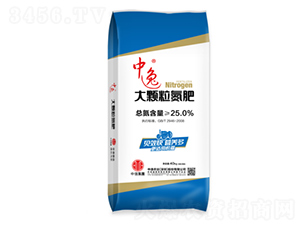 ���w������-����