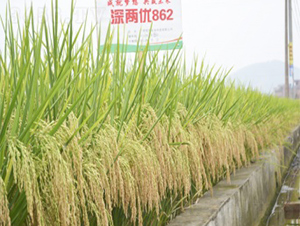 ��Ƀ�(y��u)862-ˮ���N��-����N�I(y��)