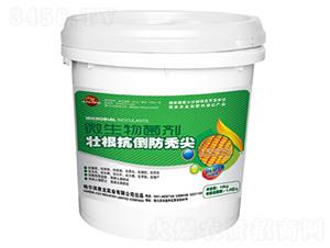 �Ѹ��������d��΢�������-�����䷽-������(sh��)�I(y��)