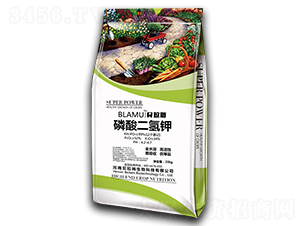 ��������-ؐ��ķ