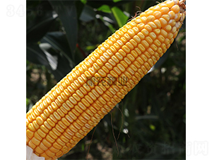 ���r(n��ng)��508-���׷N��-���r(n��ng)�N�I(y��)