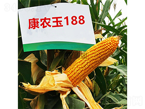 ���r(n��ng)��188-���׷N��-���r(n��ng)�N�I(y��)