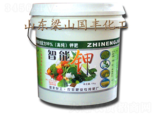 �����-���S�ʘI(y��)