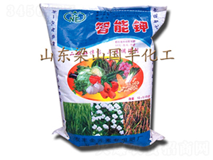 �߼��������-���S�ʘI(y��)