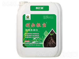 �����~(y��)����-��������-����ɭ