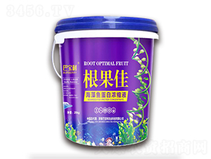 �����~���ם�sҺ-������-�͌����r(n��ng)