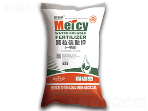 �w�������-�͌����r(n��ng)