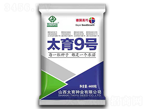 ̫��9̖(h��o)-���׷N��-Ԭ���r(n��ng)�I(y��)