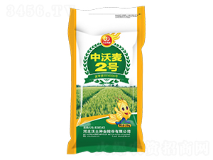 ������2̖-С���N��-�����N�I(y��)