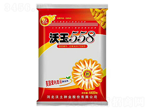 ����558-���׷N��-�����N�I(y��)