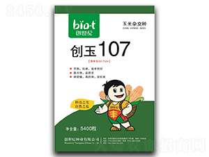 ��(chu��ng)��107-���׷N��-��(chu��ng)���o(j��)