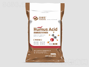 ��ֲ���t(y��)ˎ���g�w-����S