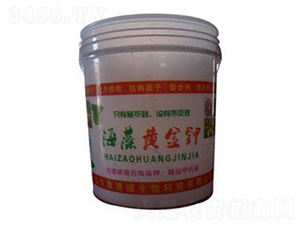 �����S���-�W�¸�