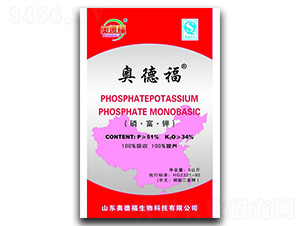 �׸��-�W�¸�