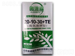 �ߵ������20-10-30+TE-�W�¸�