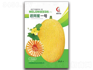 ���W(w��ng)��һ̖(h��o)-���ܹϷN��-�ℓ(chu��ng)�r(n��ng)�I(y��)