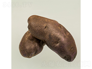 ϣɭ8̖-�����N��-ϣɭ