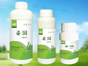 ���徫�A��-�˝�(r��n)-���� 