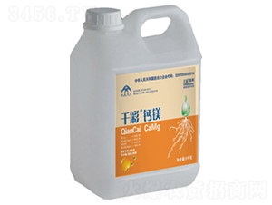 ǧ�ʡ��}�V-���r(n��ng)����