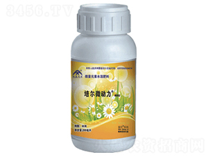 �ࠖ΢����-���r(n��ng)����