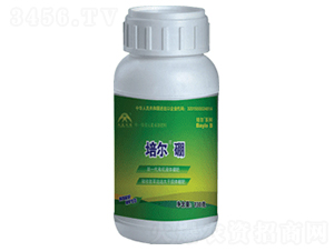 �ࠖ���w��-���r(n��ng)����