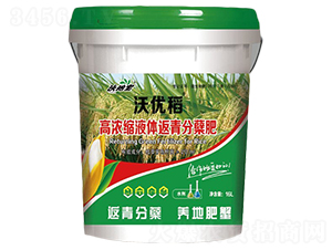 �ߝ�sҺ�w������Y��-�փ�(y��u)��-�ֵ،�