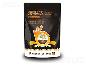 �VԴ�S�����-�����o-�������B(t��i)