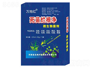 ���砀����-�f�ڼt-���{�d