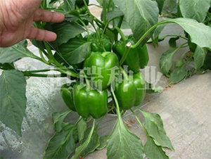 ������-�����N��-����N�I(y��)