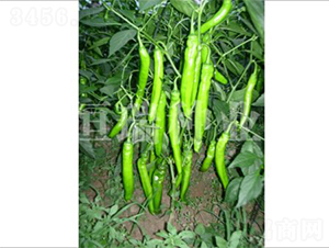 �|������-�����N��-����N�I(y��)