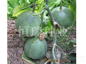 �G����-��ϷN��-����N�I(y��)