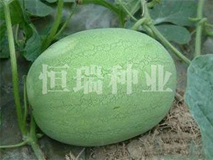 ���F��-���ϷN��-����N�I(y��)