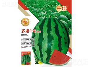 ����һ̖(h��o)����-���ϷN��-����N�I(y��)