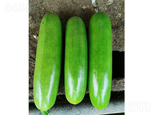 ���_����-�����J�N��-����N�I(y��)