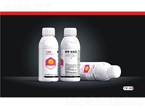 32%���ס�������-������