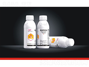 40%���Ѽ׭h(hu��n)��-������