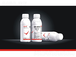 522.5��/�����衤����ơ����-������-������