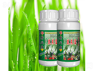 �߲ˌ�-˹�ؿ�