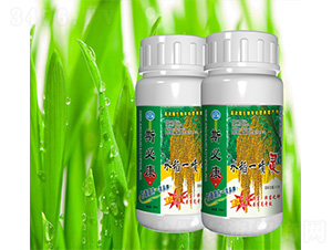 ˮ��һ���`-˹�ؿ�