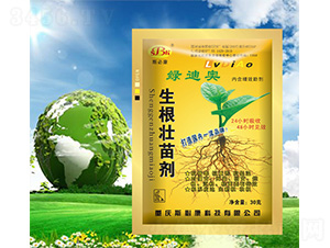 �������焩-�G�ϊW-˹�ؿ�