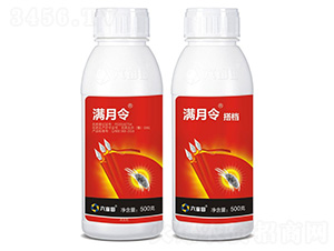 11%������Ҹ���+28%����һ������}����Һ��-�M����-������