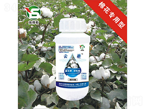 �޻������~���-ʩ����-�Ƹ��r�I(y��)