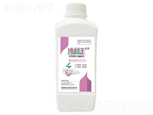 �r(n��ng)��΢�������-�����S-��ʢ����